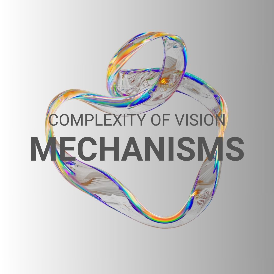complexity of vision mechanisms